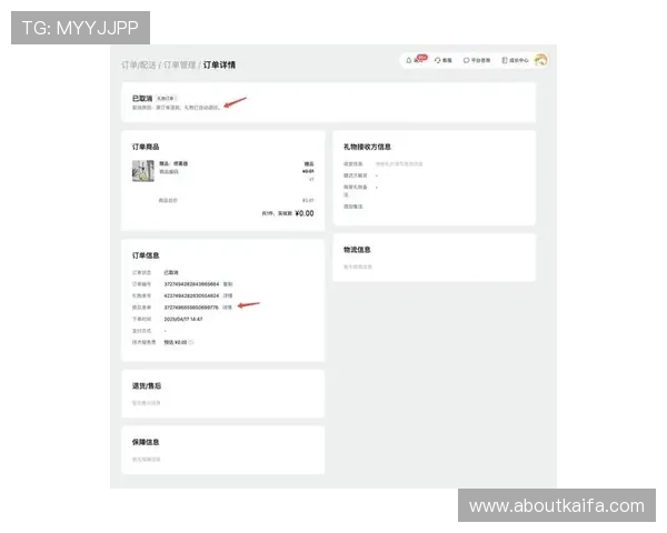 凯发电竞官网电话：通过电话快速解决账号登录与支付问题的方法