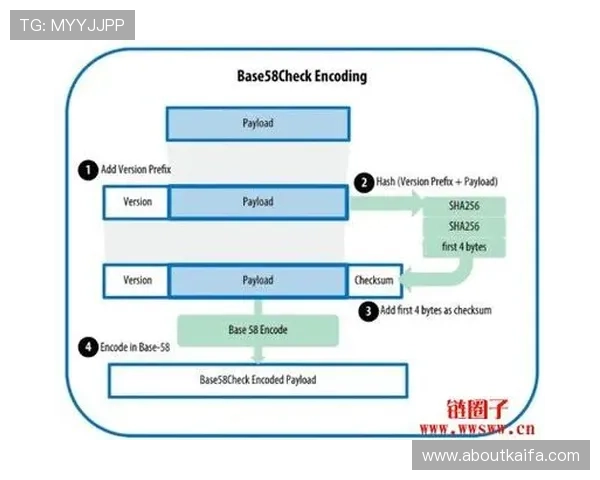 分析K8比特币赌场的支付方式与提现流程，确保资金安全快速到账