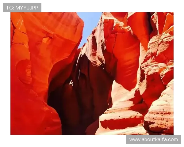 凯发电游娱乐平台全面解析，助你轻松掌握最新游戏玩法与优惠活动