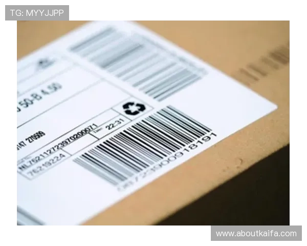 K8凯发网页版登录常见问题解答,提供详细解决方案帮助玩家顺利进入游戏