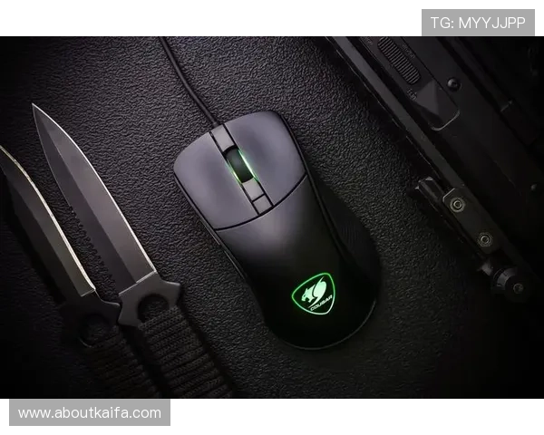 凯发K8网娱乐app功能详解，丰富的游戏类型与便捷的操作体验全方位满足玩家需求