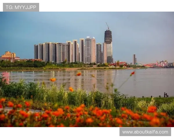 了解凯发集团简介图片,全面展现企业规模与行业地位的最新动态 了解凯发集团简介图片,全面展现企业规模与行业地位的最新动态